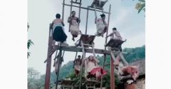 Remaja Perempuan di Desa Ini Wajib Naik Ayunan Tua Usia Ratusan Tahun, Ini Alasannya