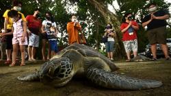 Ritual Fang Sheng, Umat Buddha Sulawesi Utara Lepas Hewan ke Alam Bebas