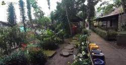 Warga di Kampung Ini Miliki Kulit Putih Pucat, Orang Luar Dilarang Berkunjung Jumat dan Sabtu