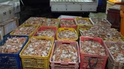Harga Rajungan Anjlok Rp40.000 per Kg, Nelayan Indramayu Enggan Melaut