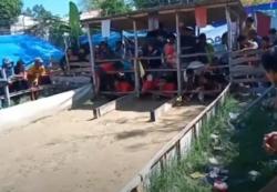 Video Karapan Kelinci dan Balap Merpati di Jatim Dibubarkan Polisi