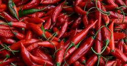 Bumbu Dapur yang Bermanfaat untuk Paru-Paru, Ada Cabai hingga Bawang