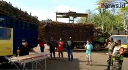 Video Sopir Truk Meninggal saat Antre Masuk Pabrik di Jember