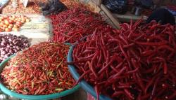 Harga Cabai di Pasar Jakarta Turun Hari ini, Simak Selengkapnya
