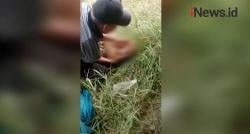 Video Penemuan Bayi Perempuan di Kolong Tol Cibitung-Cilincing Gegerkan Warga