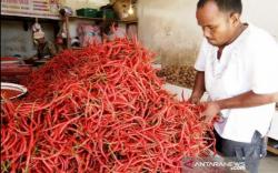 Harga Cabai di Karawang Merangkak Naik selama PPKM Darurat<