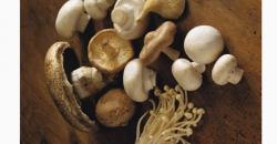 Mengenal Jenis-Jenis Jamur Terenak untuk Dimasak, Bisa Dibuat Sup dan Pizza