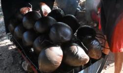 Obat Penambah Imunitas Sulit Didapat, Warga Kendal Berburu Kelapa Muda Bakar