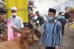 Video Jelang Idul Adha, Pasar Hewan Probolinggo Ramai