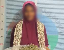 Simpan Ganja Kering Milik Suami Seberat 500 Gram, Perempuan Ini Ditangkap Polisi<