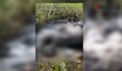 Video Olah TKP Jasad Perempuan Terbakar, Pelaku Mengaku Terinspirasi Tayangan Televisi