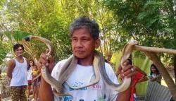 Dijuluki Manusia Ular, Pria Ini Tewas Dipatok Kobra Tepat di Lidah