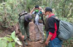 Diburu dengan Anjing, Lutung Jawa Ditemukan Tinggal Ekor di Gunung Butak Malang<