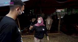 Raffi Ahmad Kurban 10 Sapi dan 10 Kambing, Netizen: The Real Sultan! 
