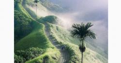 Sensasi Menyusuri Jalan Setapak Campuhan Ridge Walk, Bukit Eksotis di Ubud 