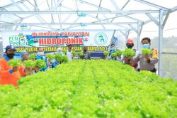 PLN Salurkan Rp4,8 Miliar Bantu Petani di 54 Lokasi lewat Program Electrifying Agriculture 