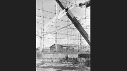 Lansia 96 Tahun Ini Dituduh Turut Bantai 11.430 Narapidana saat Perang Dunia II<