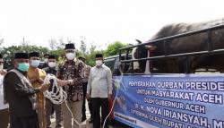 Aceh Besar Terima Sapi Kurban Bobot 1,2 Ton dari Presiden Jokowi