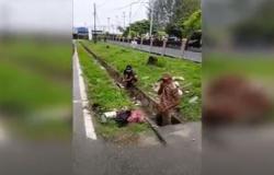 Viral Wakil Bupati Kaimana Hasbullah Bersihkan Selokan sambil Hujan-Hujanan