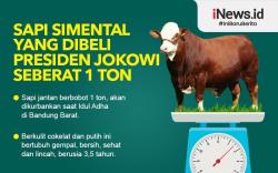Infografis Presiden Jokowi Beli Sapi Simental Seberat 1 Ton dari Peternak di Lembang<