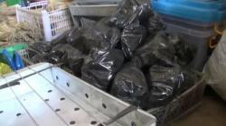 Sehari Jelang Idul Adha, Pedagang Arang dan Tusuk Sate Masih Sepi Pembeli 