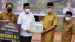 Gubernur Sumbar Serahkan Sapi Kurban Presiden Jokowi ke Pengurus Masjid Raya