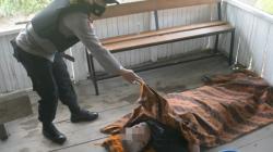 Pulang dari Jakarta, Sopir di Payakumbuh Mendadak Tewas di Warung Cucian Mobil