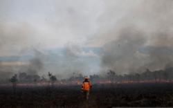 Kebakaran Lahan Kembali Terjadi di Ogan Ilir, Polisi Lakukan Penyelidikan <