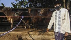 Menparekraf Sandiaga Uno Sebar 1.000 Hewan Kurban