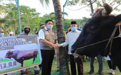 Sebar 100 Hewan Kurban, Gubernur Sumsel Sebut Masyarakat Butuh Perhatian<
