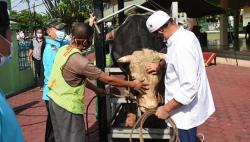 Idul Adha, Kopassus Sembelih 115 Hewan Kurban