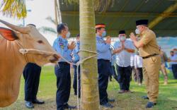 Warga Muba Isolasi Mandiri Prioritas Terima Daging Hewan Kurban<