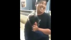 Viral, Anak Larang Ayah Ikut Potong Sapi: Entar Ketuker<