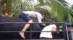 Viral, Peternak Nangis Histeris Melepas Sapi, Netizen : Sudah Seperti Anak Sendiri