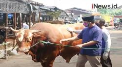 Video Anies Baswedan Serahkan Sapi Kurban ke RPH Dharma Jaya Cakung