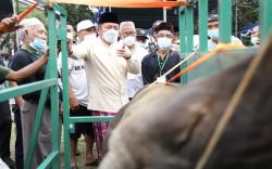 Al-Ikhlas, Alat yang Memudahkan Pemotongan Hewan Kurban Karya Warga Palembang <