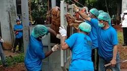 Tinggalkan Cara Konvensional, Pemkot Jaksel Gunakan Alat Khusus Penyembelihan Hewan Kurban