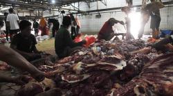 Pemotongan Hewan Kurban di RPH Cakung Meningkat