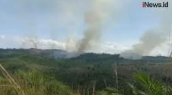 Video 50 Hektare Hutan Lindung Bukit Suligi Riau Terbakar