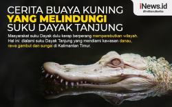 Infografis Cerita Buaya Kuning yang Melindungi Suku Dayak Tanjung