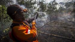 Hujan Buatan Disiapkan untuk Hadapi Puncak Karhutla di Sejumlah Wilayah