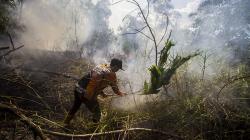 Curah Hujan Rendah, BMKG Ingatkan Kalbar Rawan Terjadi Karhutla<