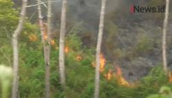 Video Kebakaran Hutan di Hutan Gunung Sipiso Sumut