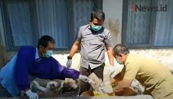 Video Ratusan Jarum Suntik Bekas Vaksinasi Berserakan di Tempat Sampah Sekolah Depok