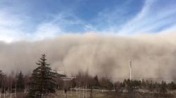 Badai Debu Picu Tabrakan 22 Kendaraan, Tewaskan 8 Orang  