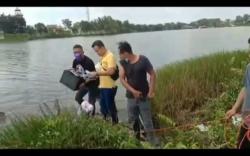 Cari Brankas Apotek yang Dicuri, Polisi Menyelam ke Dasar Danau OPI Palembang<