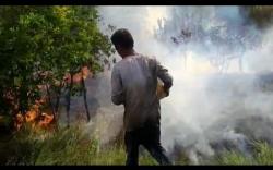 Waspadai Karhutla, Cuaca Panas Landa Sebagian Besar Wilayah <