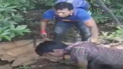 Sembunyi di Sarang Buaya saat Dikejar Polisi, Maling Ini Menyerahkan Diri