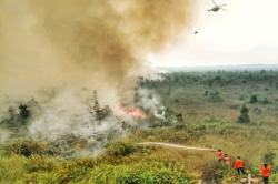 Karhutla di Sumsel Semakin Sering, Butuh Helikopter Tambahan untuk Pengeboman Air<