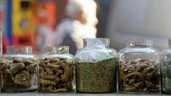Apa Boleh Konsumsi Obat-obatan Terapi Covid-19 Bersamaan dengan Herbal? Ini Penjelasan Dokter
